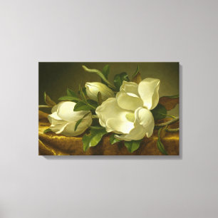 Martin Johnson Heade - Magnolias auf Gold Velvet Leinwanddruck