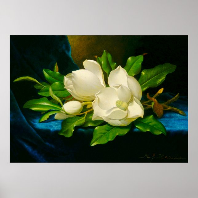 Martin Johnson Heade - Magnolias auf Gold Velvet Poster (Vorne)