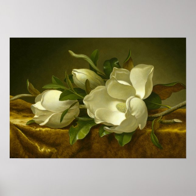 Martin Johnson Heade - Magnolias auf Gold Velvet Poster (Vorne)