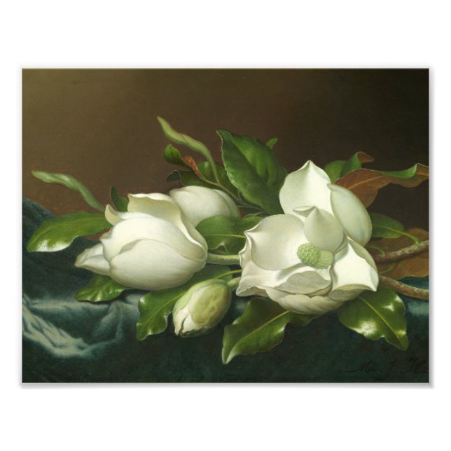 Martin Johnson Heade - Magnolias on Light Blue Fotodruck (Vorne)