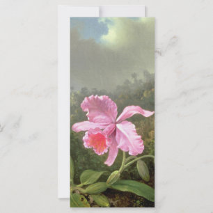 Martin Johnson Heade Orchid und Hummingbirds