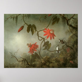 Martin Johnson Heade Passion Blume Poster
