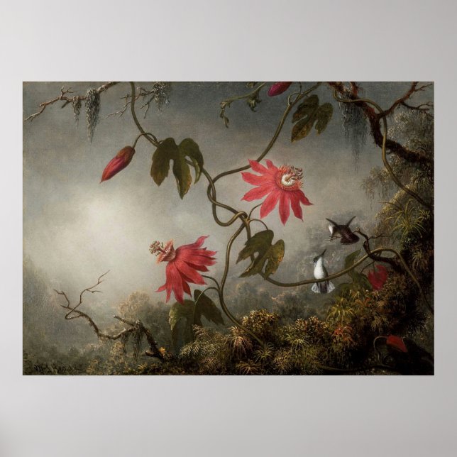 Martin Johnson Heade - Passion Blume und Humming Poster (Vorne)