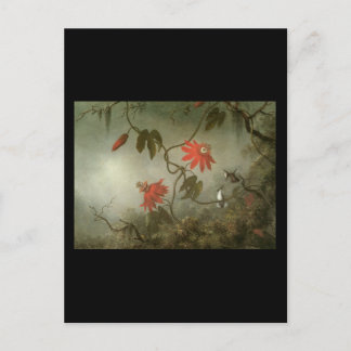Martin Johnson Heade Passion Blume und Hummingbi Postkarte