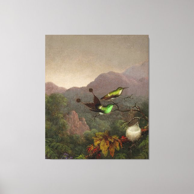 MARTIN JOHNSON HEADE - Racket-Schwanz, Brasilien - Leinwanddruck (Vorderseite)