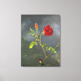 MARTIN JOHNSON HEADE - Rote Rose mit Ruby Throat - Leinwanddruck
