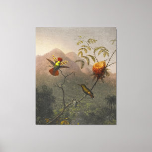 MARTIN JOHNSON HEADE - Tufted Coquette - 1863-64 - Leinwanddruck