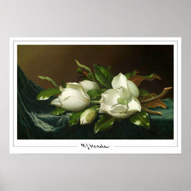 Martin Johnson Heade Zedign Art Poster #12 (Vorne)