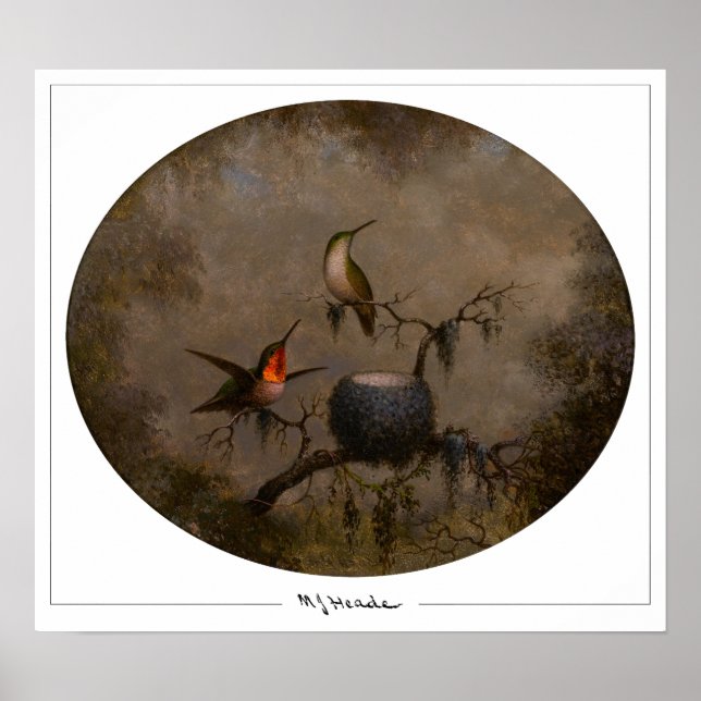 Martin Johnson Heade Zedign Art Poster #131 (Vorne)