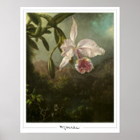 Martin Johnson Heade Zedign Art Poster #2