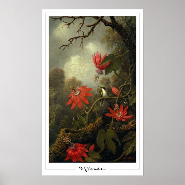 Martin Johnson Heade Zedign Art Poster #36 (Vorne)