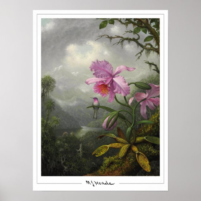 Martin Johnson Heade Zedign Art Poster #4 (Vorne)