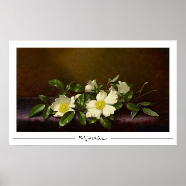 Martin Johnson Heade Zedign Art Poster #52 (Vorne)