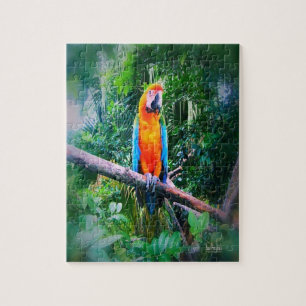 Martinique Macaw