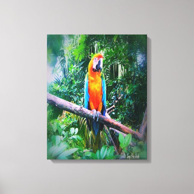 Martinique Macaw Leinwanddruck (Vorderseite)