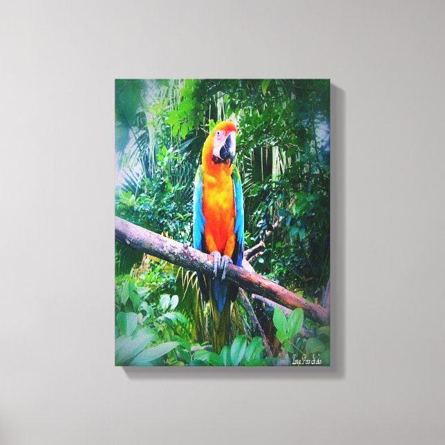Martinique Macaw Leinwanddruck (Vorderseite)