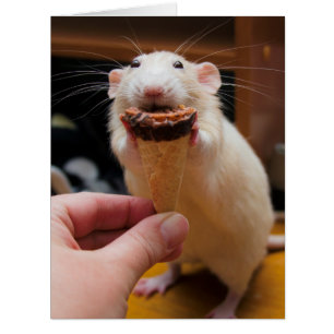 Marty Eating Ice Creme