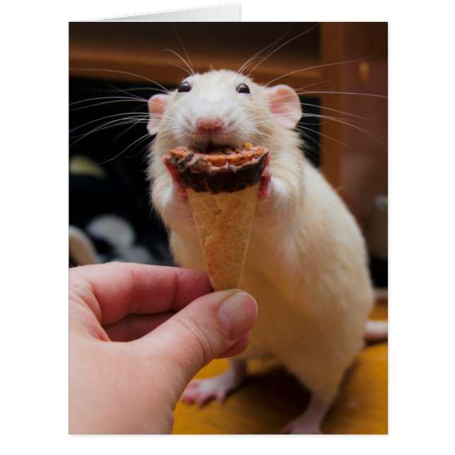Marty Eating Ice Creme (Vorderseite)