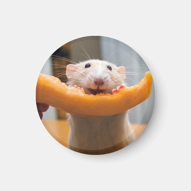 Marty Mouse Canaloop Magnet (Vorne)