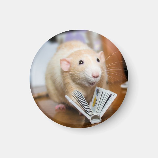 Marty Mouse-Lieben zum Lesen von Magnet (Vorne)