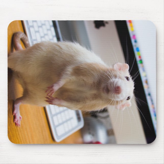 Marty Mouse Mousepad - ComputerMaus (Vorne)