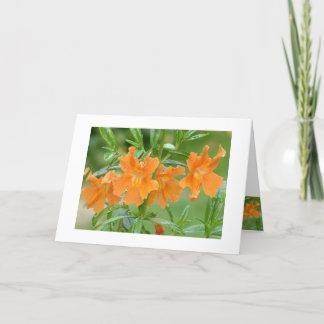 Marvelous Mimulus Notecard Karte