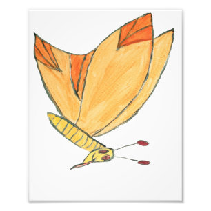 Marvin the Moth Fotodruck