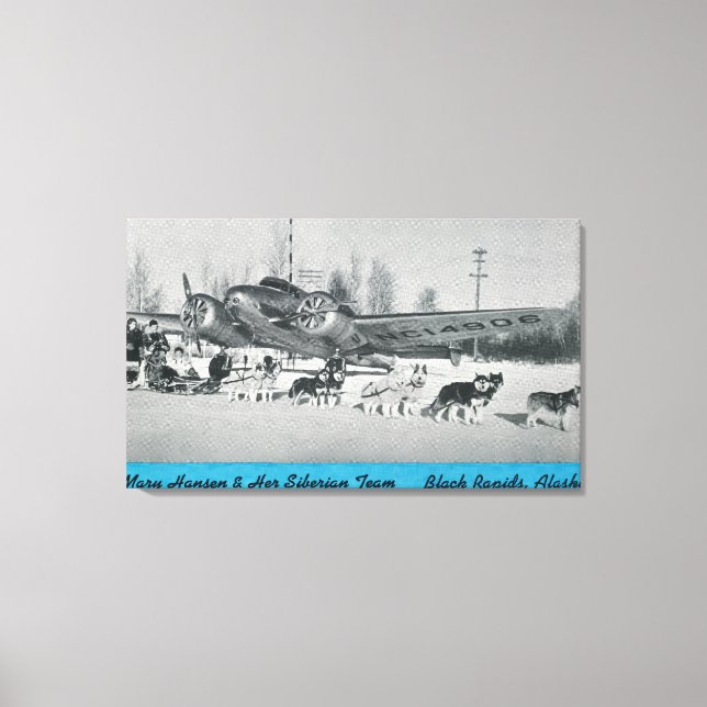 Mary Hansen & Siberians mit Flugzeug Leinwanddruck (Vorderseite)