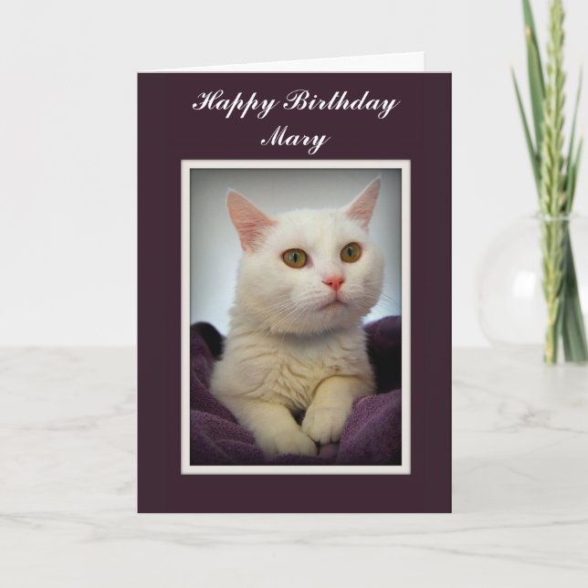 Mary Happy Birthday White Cat Card Karte (Vorderseite)