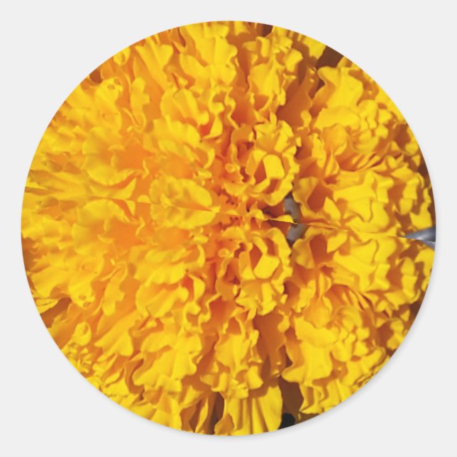 Marygold Runder Aufkleber (Vorderseite)