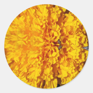 Marygold Runder Aufkleber