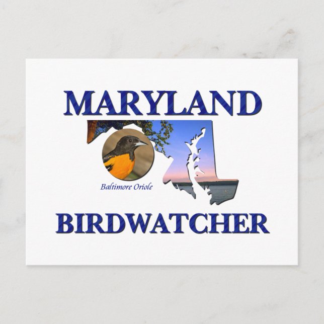 Maryland Birdwatcher Postkarte (Vorderseite)