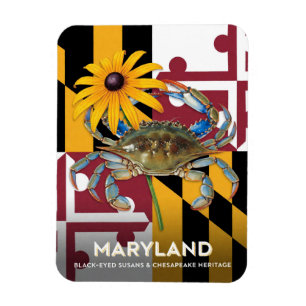 Maryland Black Eyed Susan und Krabben Symbole Magnet