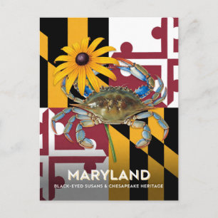 Maryland Black Eyed Susan und Krabben Symbole Postkarte