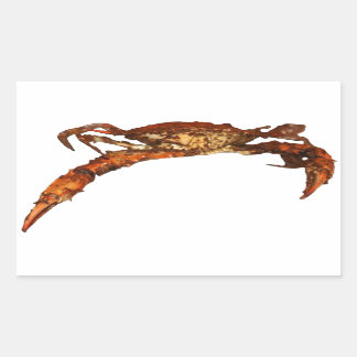 Maryland Blue Crab Rechteckiger Aufkleber