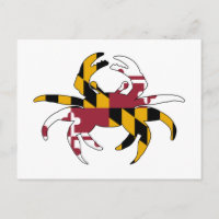 Maryland Flag Crab