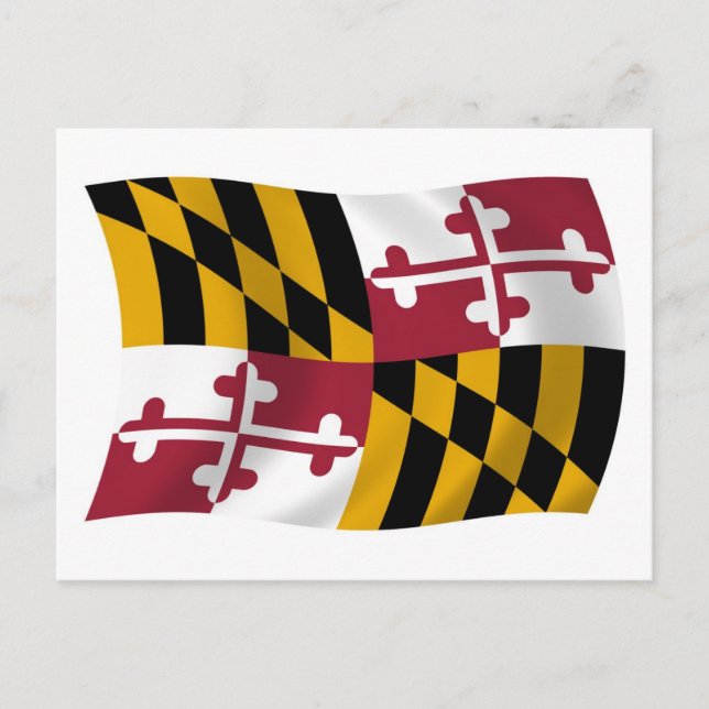 Maryland Flag Postcard Postkarte (Vorderseite)