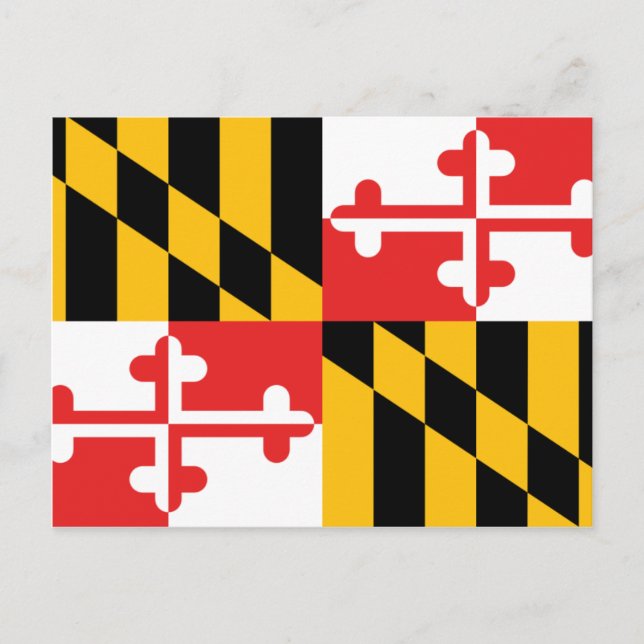 Maryland Flag Postkarte (Vorderseite)