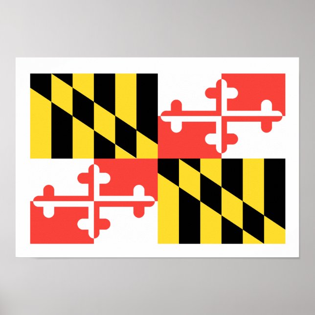 MARYLAND POSTER (Vorne)