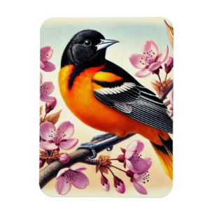 Maryland Staat Bird Baltimore Oriole Magnet