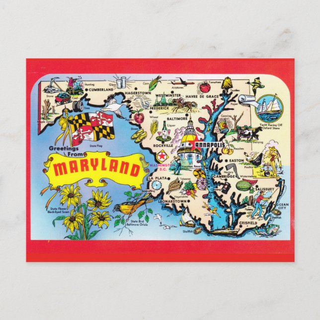 Maryland Staat Map Postcard Postkarte (Vorderseite)