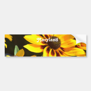 Maryland-Staats-Blume Autoaufkleber