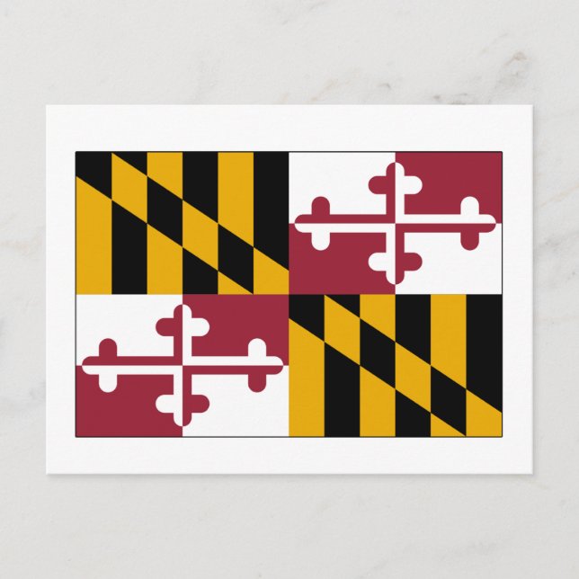 Maryland-Staats-Flagge Postkarte (Vorderseite)