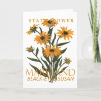 Maryland Territory Blume Die schwarz-Mit Augen Sus