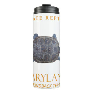 Maryland Territory Reptile the Freshwater Turtle Thermosbecher