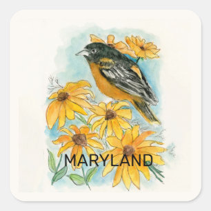 Maryland-Vogel und Blume Quadratischer Aufkleber