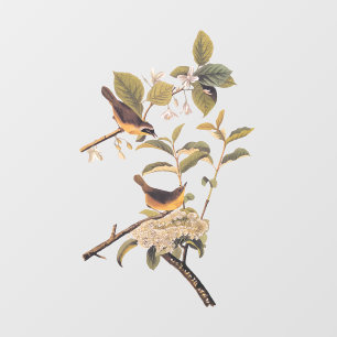 Maryland Yellowthroat Audubon Birds mit Blume Fensteraufkleber