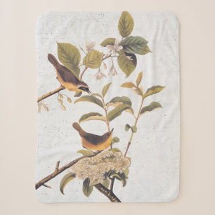 Maryland Yellowthroat Audubon Birds mit Blume Sherpadecke
