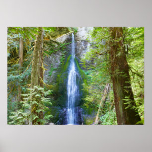 Marymere Falls I im Olympic National Park Poster