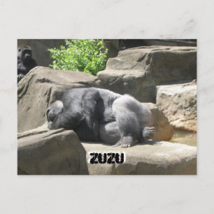 März7 927, ZuZu, ZuZu Postkarte